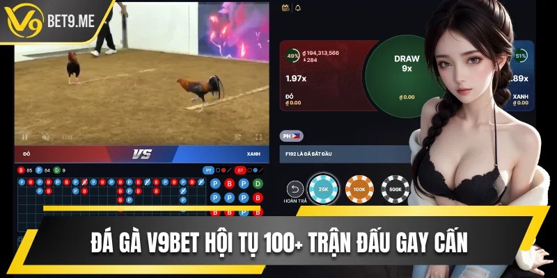 V9BET